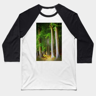 Cotswolds Trees Baseball T-Shirt